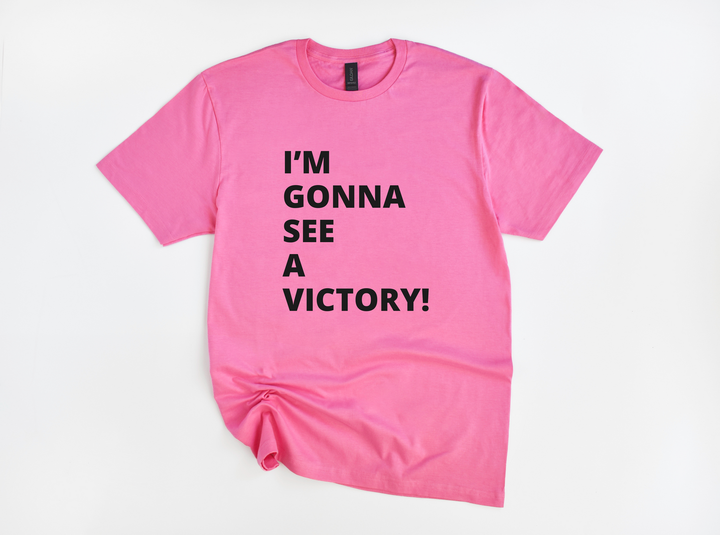 Overcomer Shirt: Gildan Soft Style "I'm Gonna See a Victory" Unisex T-shirt